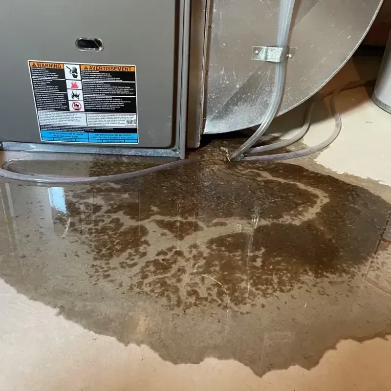 Appliance Leak Cleanup in Anthony, NM